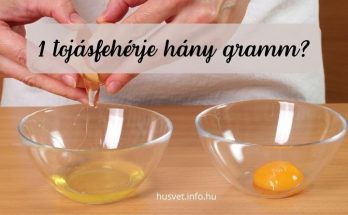 1 tojásfehérje hány gramm