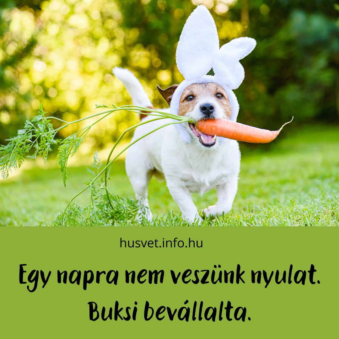 vicces húsvéti kép buksi, nyúl, kutya